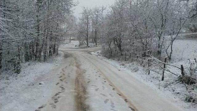 Ordu’Da Kar Yağışı Başladı