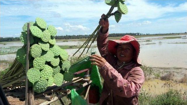 Tika’dan Kamboçya’ya Farklı Sektörlerde Önemli Destek