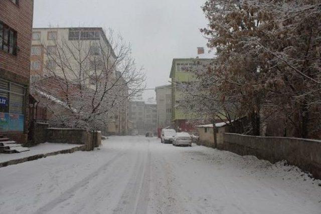 Doğu'da Kar Yağışı (2)