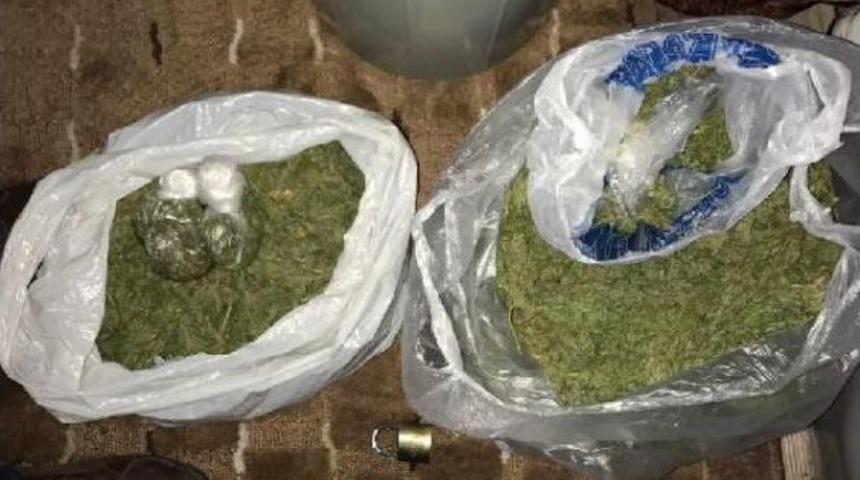 İzmir'de Bonzai Imalathanesine Operasyon