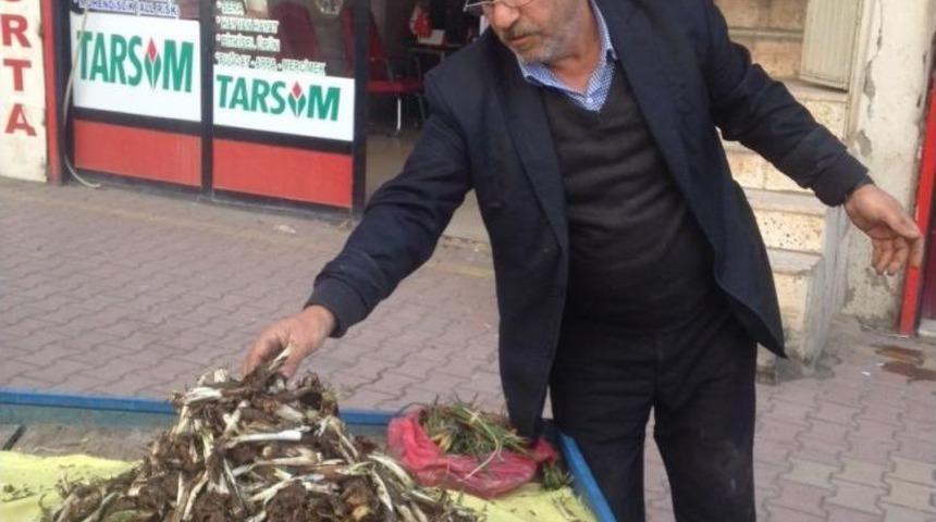 Kenger Otu Pazara İndi