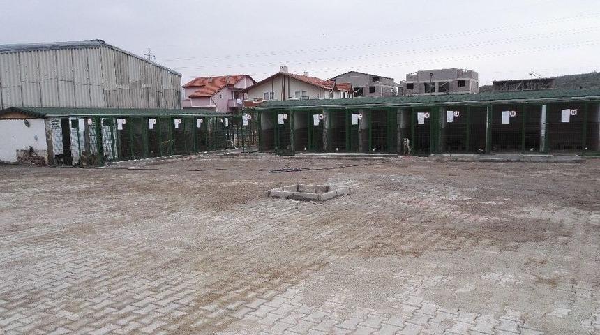 Gemlik Belediyesi&rsquo;ne Anlamlı &Ouml;d&uuml;l