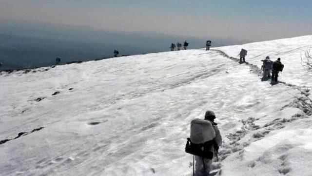 Lice Operasyonunda 4 Terörist Etkisiz Hale Getirildi