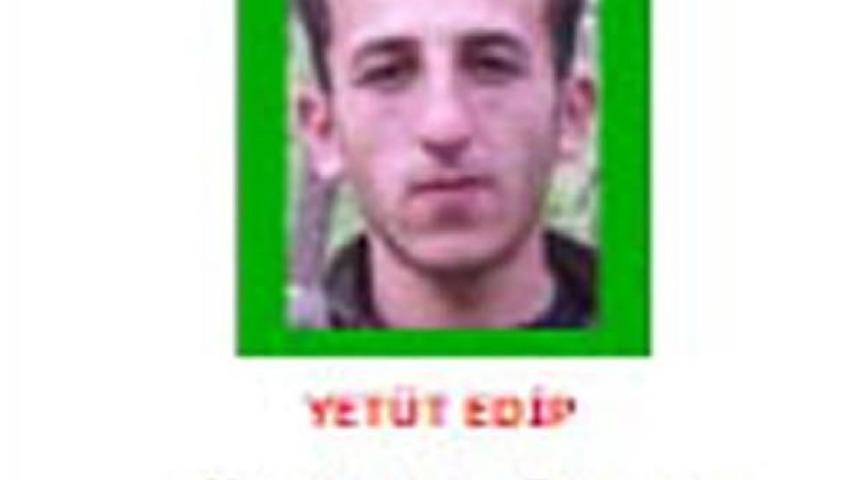 Lice Operasyonunda 4 Ter&ouml;rist Etkisiz Hale Getirildi (2)