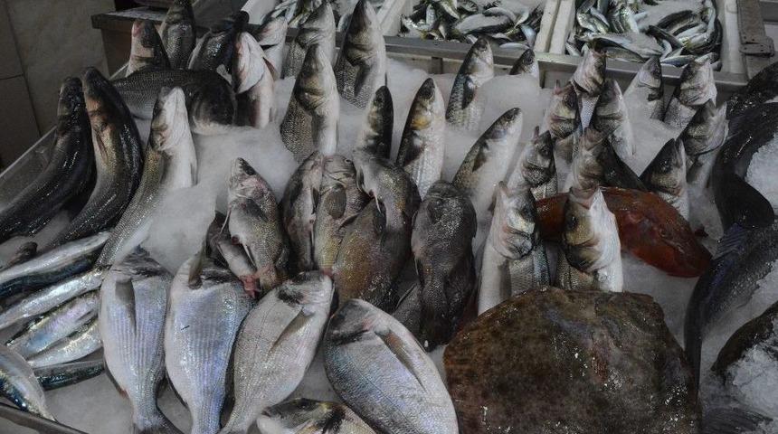 Karadeniz&rsquo;de Levrek Bereketi