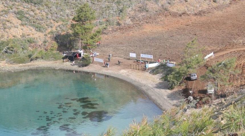 Marmaris&rsquo;te Yanan 460 D&ouml;n&uuml;m Alana 5 Milyon Tohum Ekildi
