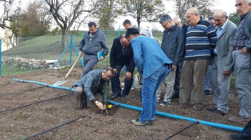 Akakp Artvin’e Can Verecek