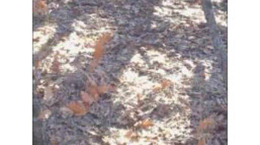 İzinsiz Av Esnasında Hayatını Kaybetti