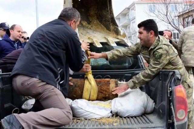 Gelibolu'da Bulunan Top Mermisi 102 Yıl Sonra Da Patlamadı