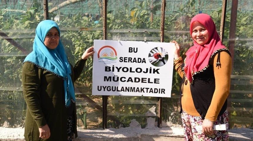 Antalya&rsquo;da &lsquo;tarla G&uuml;n&uuml;&rsquo; D&uuml;zenlendi