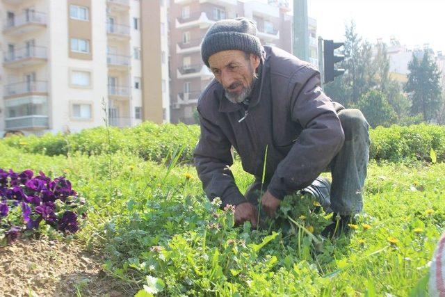 Mithat Dede’nin Hayat Mücadelesi 1