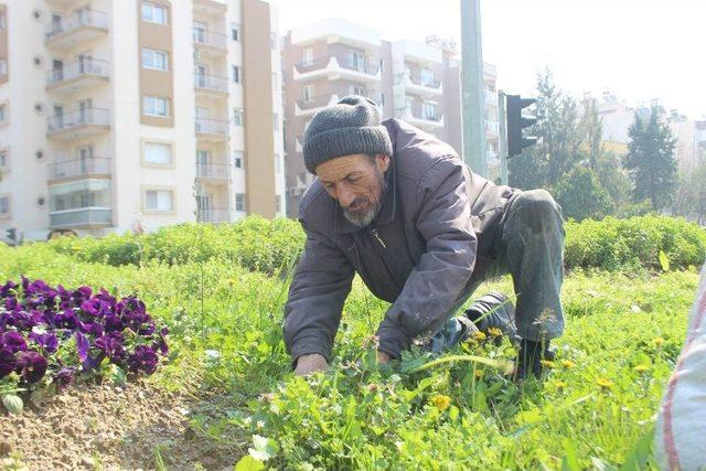 Mithat Dede’nin Hayat Mücadelesi 2