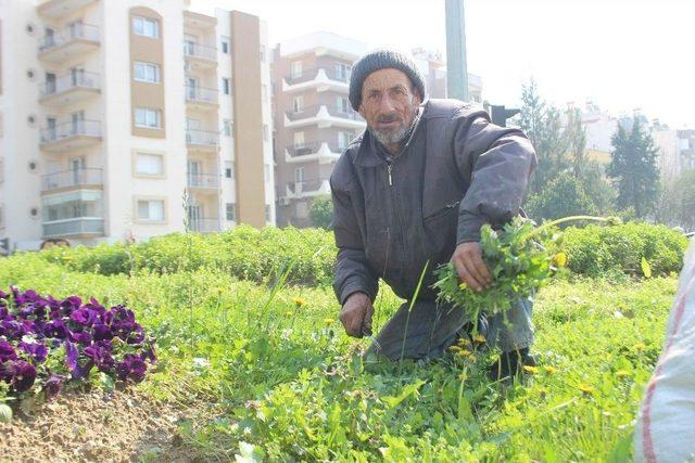 Mithat Dede’nin Hayat Mücadelesi 3