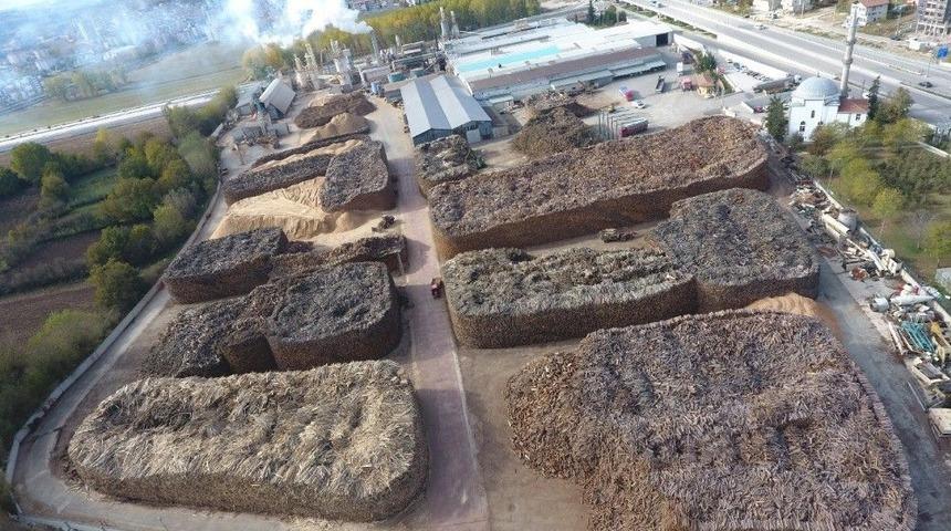 Orman &Uuml;r&uuml;nlerinden Milli Ekonomiye B&uuml;y&uuml;k Katkı