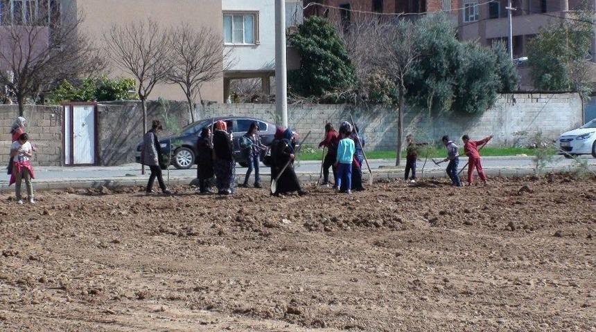 Kızıltepe&rsquo;de &lsquo;bir Fidan Bir Kadın&rsquo; Programı