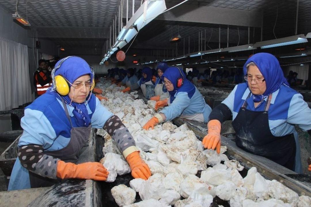 (&ouml;zel Haber) Ekmeklerini Taştan &Ccedil;ıkaran Kadınlar