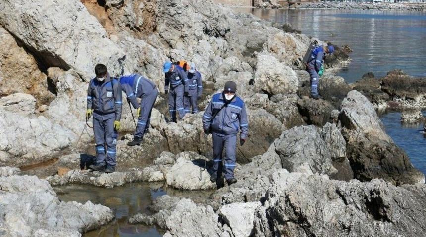 Alanya Ve Akseki&rsquo;de Sinekle M&uuml;cadele