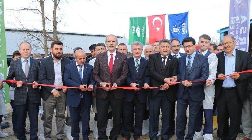 B&uuml;y&uuml;kşehir Desteğiyle Dağ Y&ouml;resinde Hayvancılık Gelişiyor