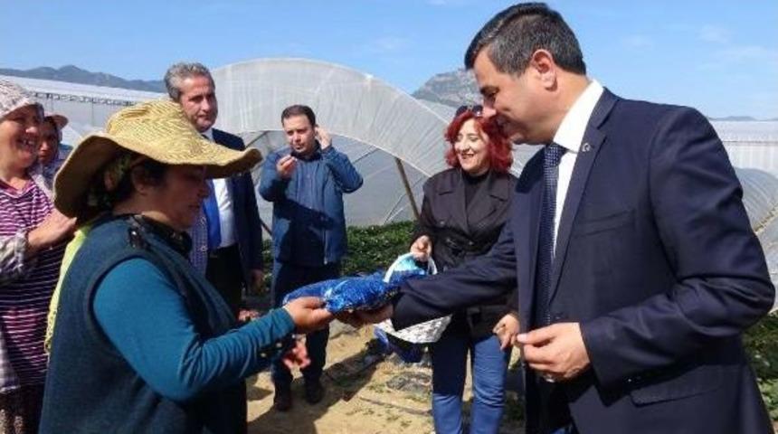 Serada &Ccedil;alışan Kadınlara G&uuml;neş Kremi Ve Eldiven