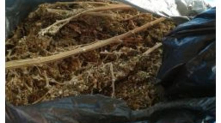 Ş&uuml;phe &Uuml;zerine Durdurulan Ara&ccedil;tan 1 Kilo Esrar &Ccedil;ıktı