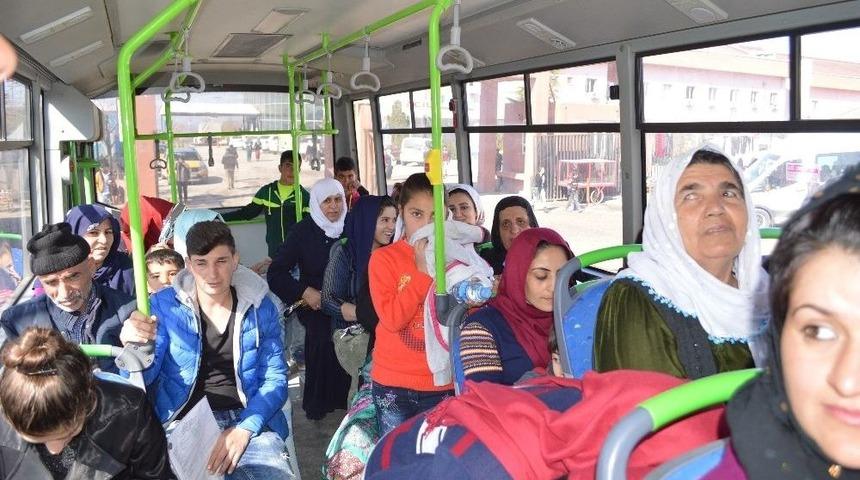 Şırnak Belediyesinden Kadınlara Ücretsiz Ulaşım