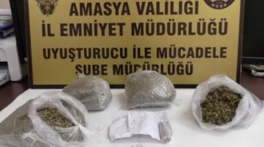Amasya&rsquo;da 850 Gram Bonzai Ele Ge&ccedil;irildi