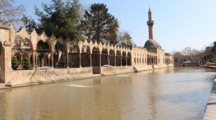 Balıklıg&ouml;l&rsquo;Deki &Ccedil;amur Tabakasının Temizliği Devam Ediyor