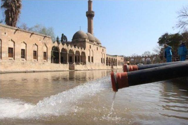 Balıklıgöl’Deki Çamur Tabakasının Temizliği Devam Ediyor