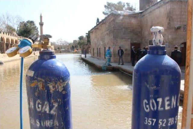 Balıklıgöl’Deki Çamur Tabakasının Temizliği Devam Ediyor