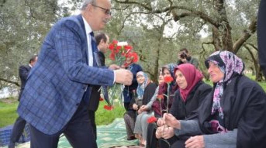 Başkandan Kadınlara Zeytin Tarlasında Çiçek