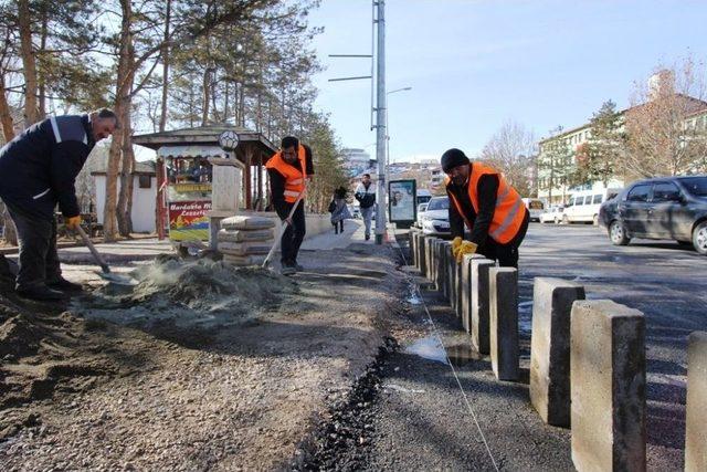 Başkan Memiş Çalışma Alanlarını Gezdi