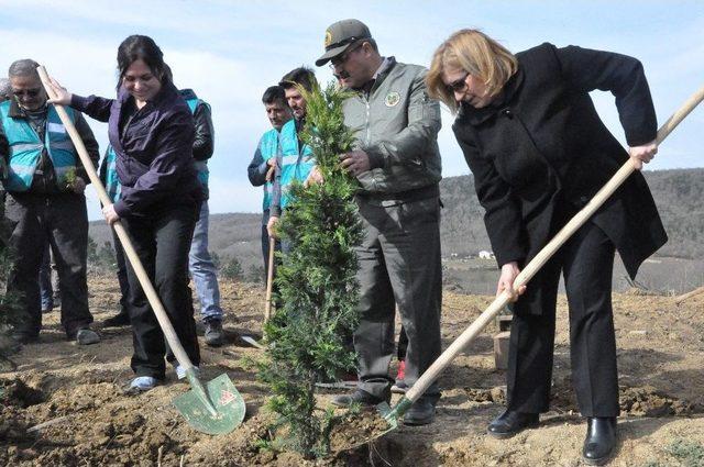 Gebze’de 50 Denetimli Serbestlik Hükümlüsü 5 Bin Fidan Dikti