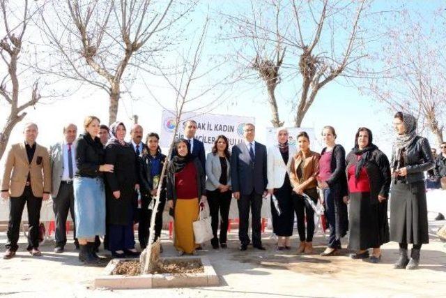 Şırnak Valisi Su, Kadınlara Karanfil Verdi