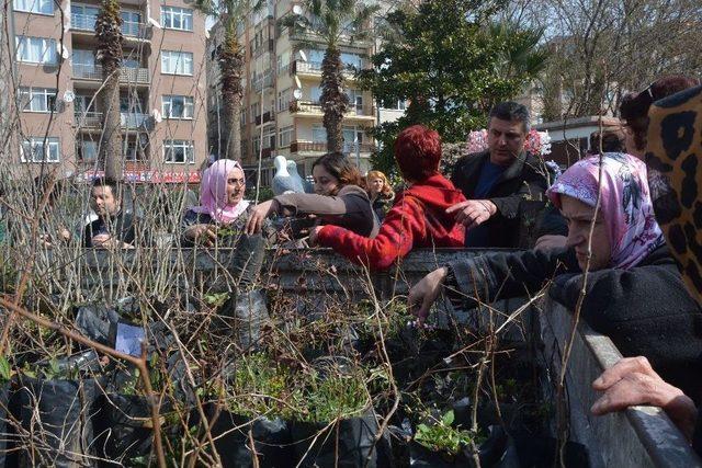 Sinop’ta Dünya Kadınlar Günü Etkinliği