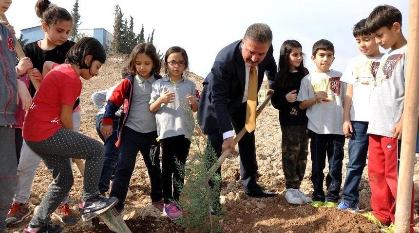 Başkan Tuna: "13 Yılda İl&ccedil;emize 500 Bin Ağa&ccedil; Diktik"