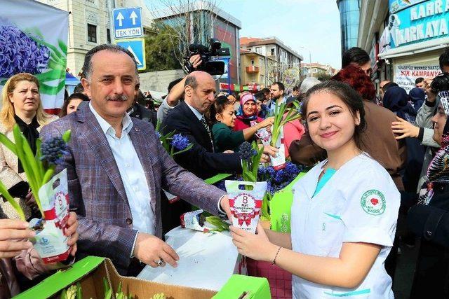 Bağcılar’da Kadınlara 25 Bin Adet Sümbül Dağıtıldı