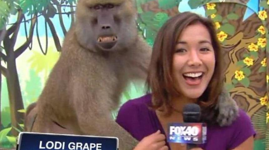 Kadın muhabiri taciz etti