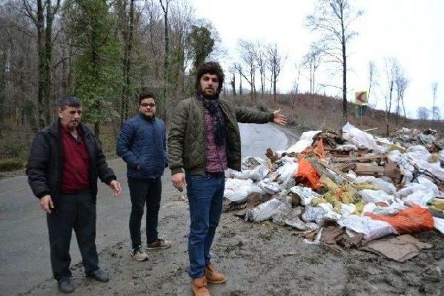 Belgrad Ormanı'na Dökülen Molozlar Meclis Gündemine Taşındı