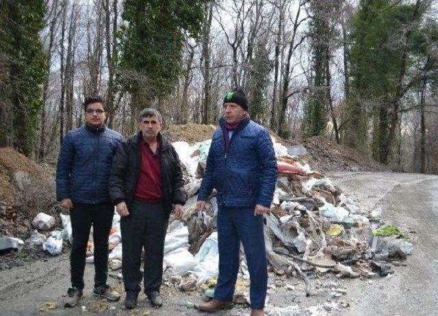 Belgrad Ormanı'na Dökülen Molozlar Meclis Gündemine Taşındı