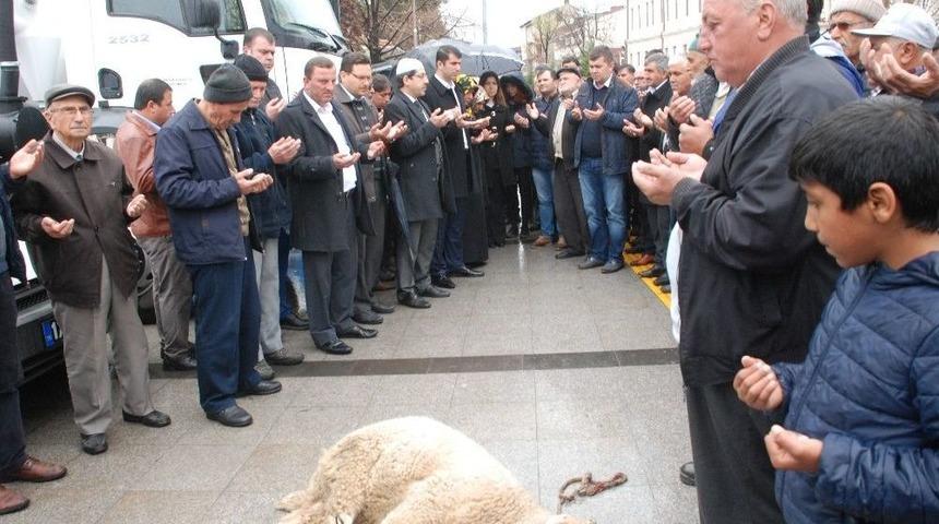 Bayrami&ccedil; Belediyesine 3 Ara&ccedil; Hibe Edildi