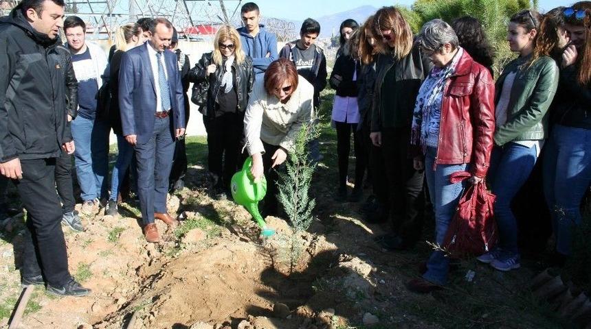 Kıbrıs&rsquo;ta Yapılan Uluslararası Kongrenin Karbon Ayak İzini Aydın&rsquo;da Sıfırlandı
