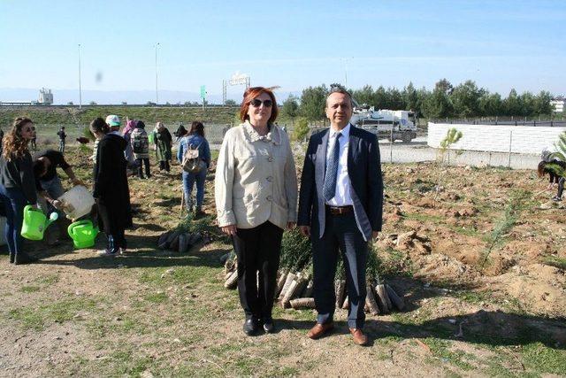 Kıbrıs’ta Yapılan Uluslararası Kongrenin Karbon Ayak İzini Aydın’da Sıfırlandı