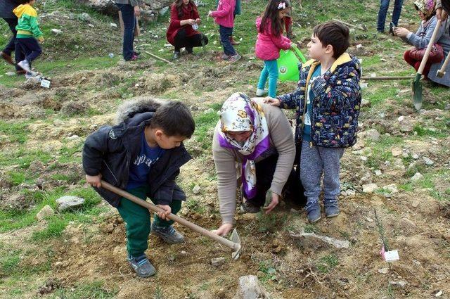 Minik Eller Fidanları Şehitler İçin Toprakla Buluşturdu