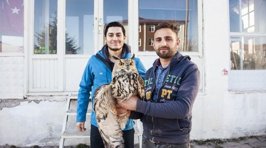 Yaralı Baykuşa Duyarlı Gen&ccedil;ler Sahip &Ccedil;ıktı