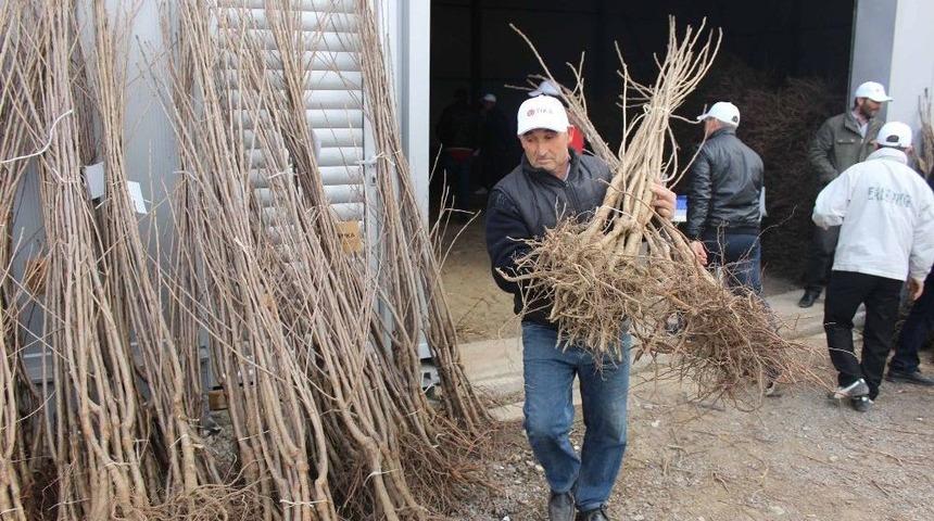 Makedonya&rsquo;da Meyveciliğin Geliştirilmesine Destek