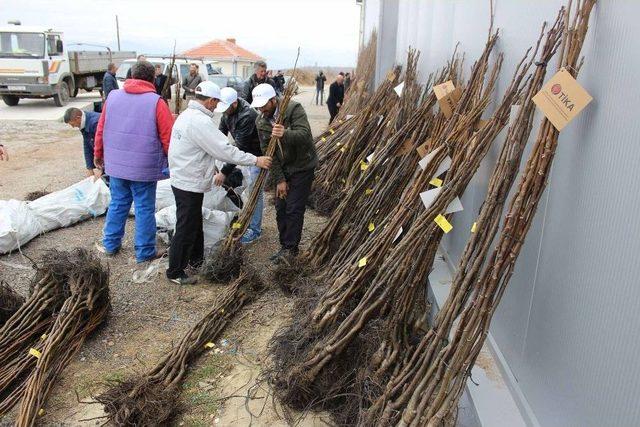 Makedonya’da Meyveciliğin Geliştirilmesine Destek