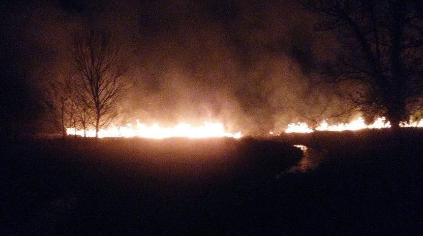 Sakarya&rsquo;da 5 Hektarlık Sazlık Alan Yandı