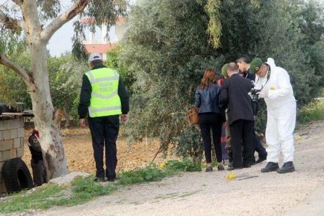 Silifke'de Yol Kenarında Kadın Cesedi