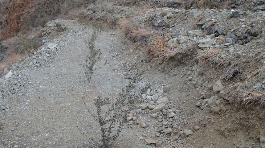 Artvin&rsquo;de 3 Bin 480 Dekar Orman Alanı Orman K&ouml;yl&uuml;s&uuml;n&uuml;n Hizmetinde