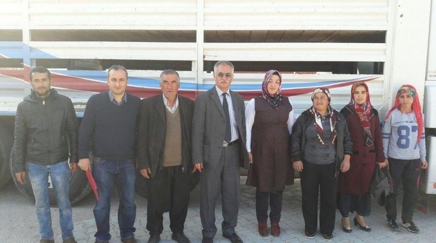 Gen&ccedil; &Ccedil;ift&ccedil;ilere Koyun Desteği